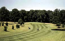 Indian Bluff Forest Preserve